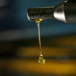 Manufacturers Exporters and Wholesale Suppliers of Equifit Alpha Oils Ahmedabad Gujarat